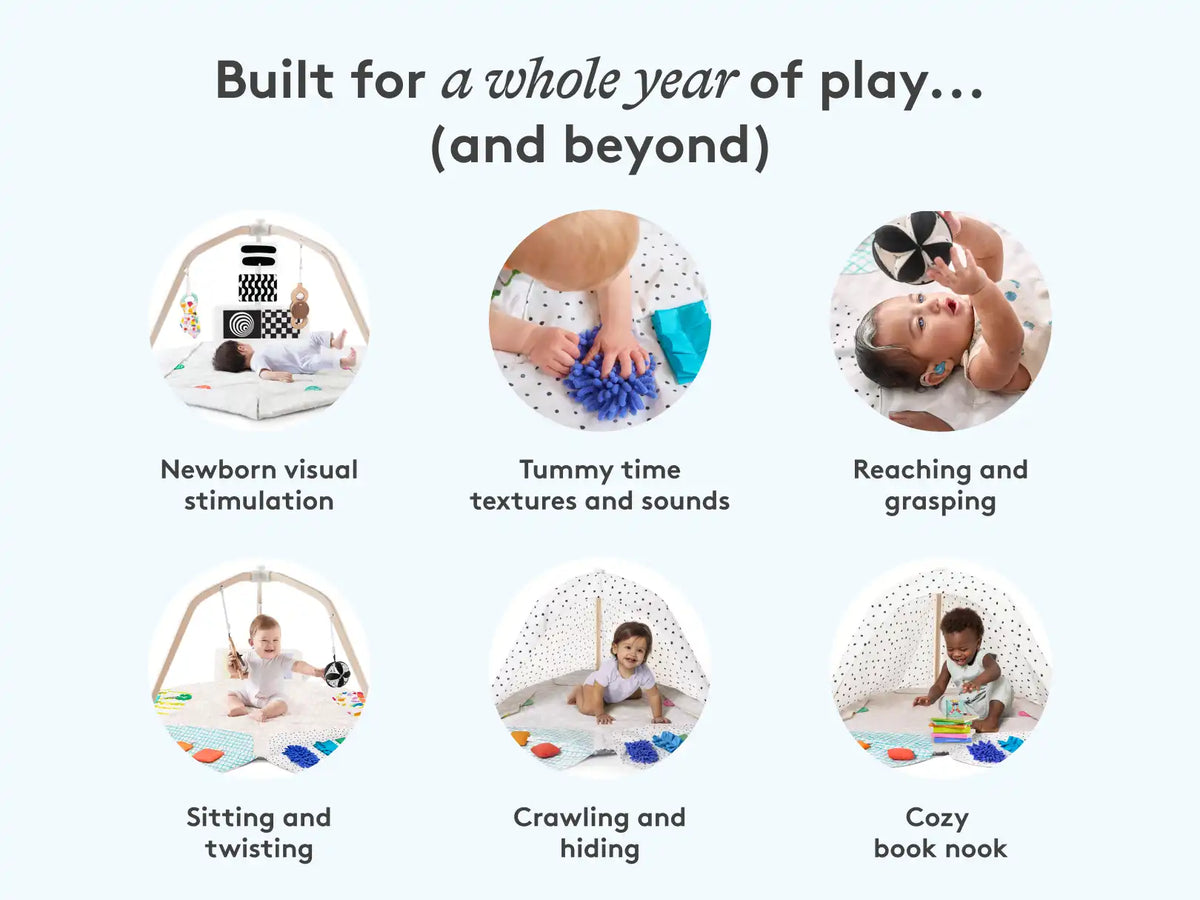The Play Gym