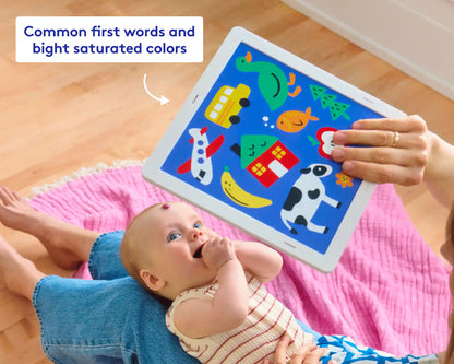 The Charmer Play Kit