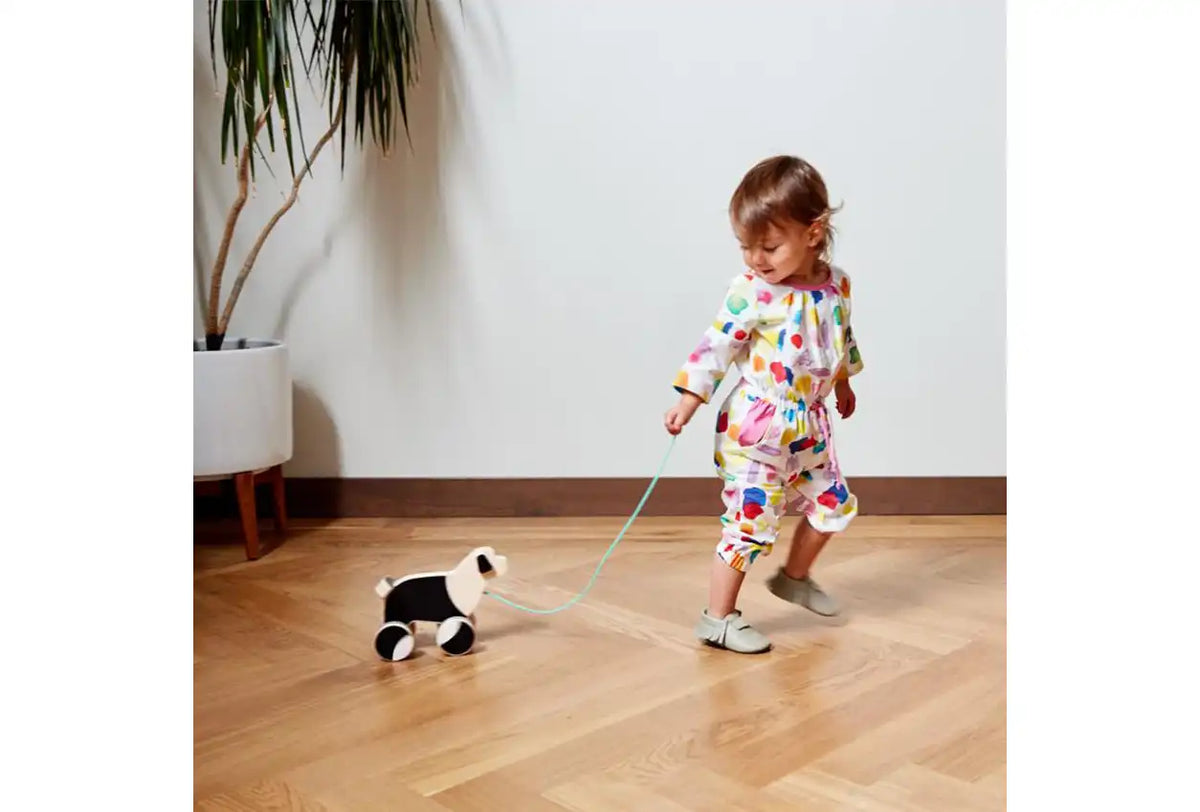 The Pull Pup
