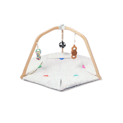 The Play Gym