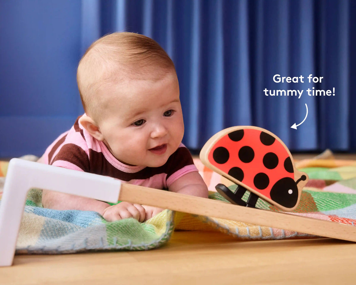 Baby’s First 6+ Months