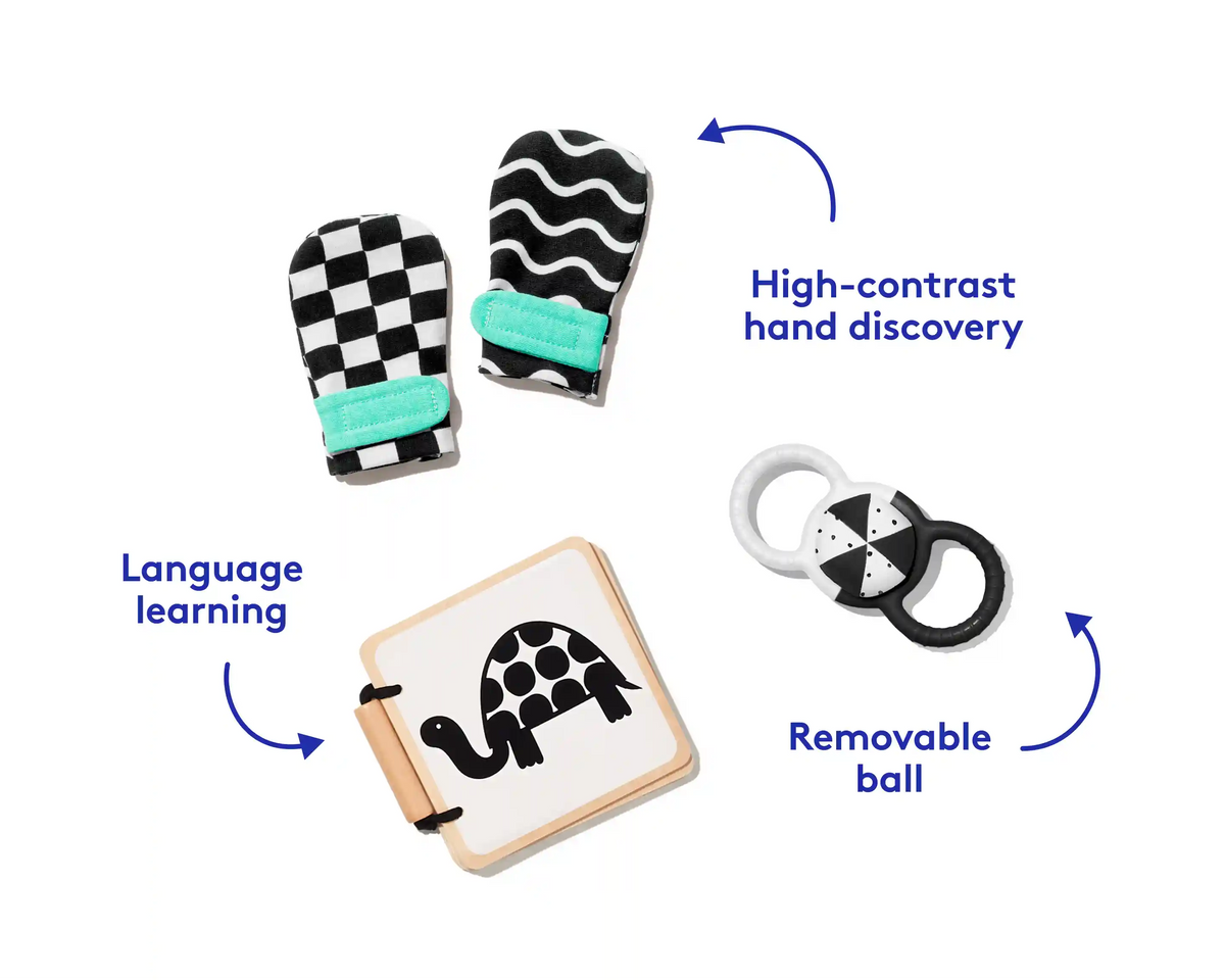 The Looker Play Kit