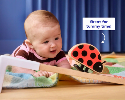 The Looker Play Kit